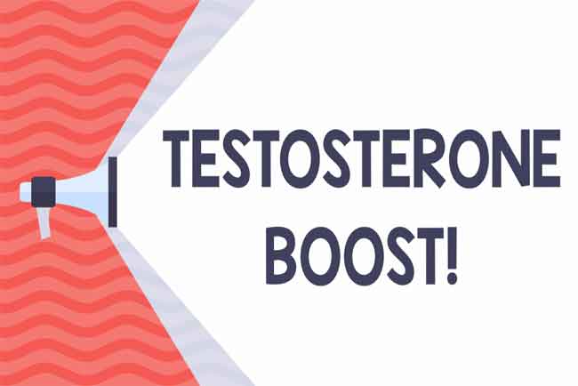 You are currently viewing Best Testosterone Boosting Exercises – Increasing Testosterone Levels