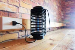 Read more about the article How to Build the Perfect Bug Zapper
