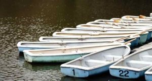 Read more about the article How to Grow a Boat Rental Business