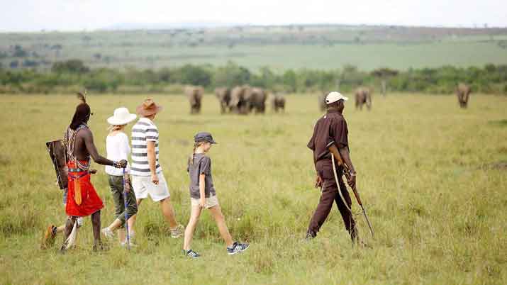 Read more about the article How to Choose a Safari Tanzania