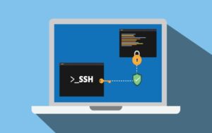 Read more about the article What Can I Do With SSH Client?